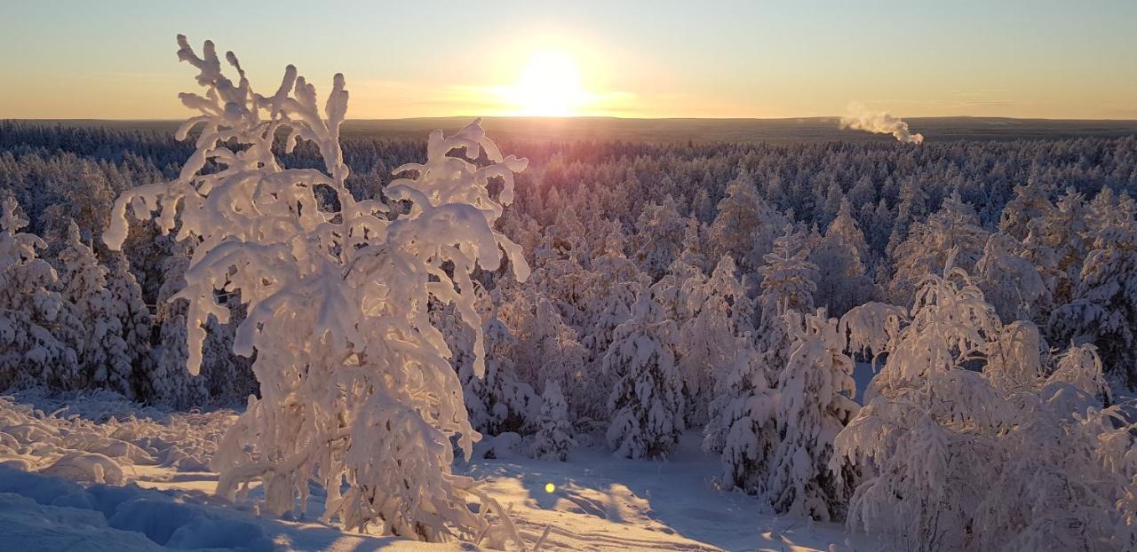 Villaski Rovaniemi Exterior foto